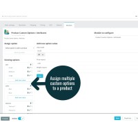Product Custom Options / Attributes - Prestashop Module Product Custom Options / Attributes - Prestashop Module