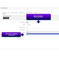 Delivery Radius Pro configuration Delivery Radius Pro configuration