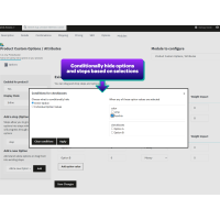 Product Custom Options / Attributes - Prestashop Module